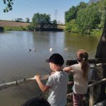 phoca_thumb_m_veverky u rybnka 11 Fotogalerie